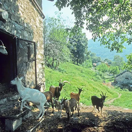 Alloggio per agriturismo Al Marnich *