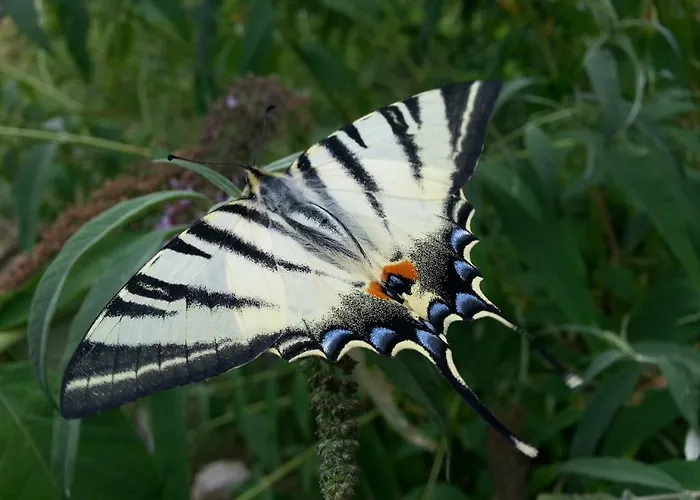 Al Marnich * Schignano