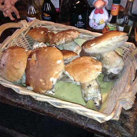 Vakantieboerderij Al Marnich