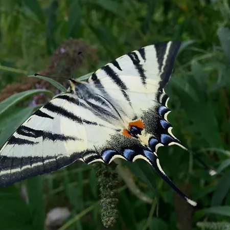 Al Marnich * Schignano (Como)