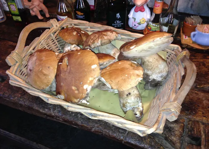 Vakantieboerderij Al Marnich