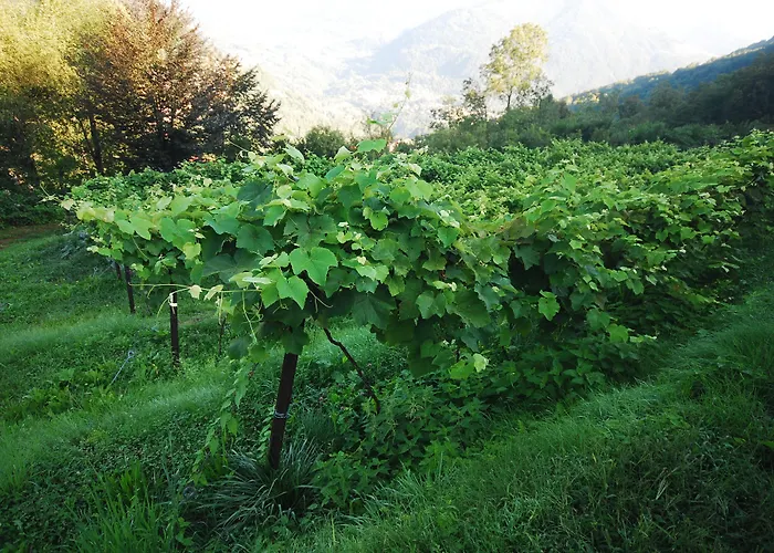 阿尔玛尼奇农庄酒店