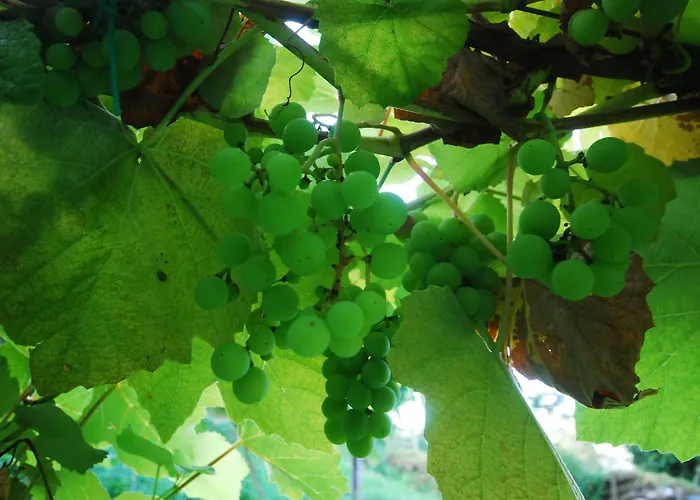 Al Marnich Alloggio per agriturismo Schignano (Como)