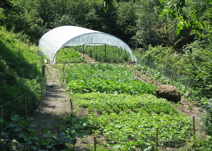 阿尔玛尼奇农庄酒店 *