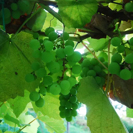 Al Marnich Gospodarstwo agroturystyczne Schignano (Como)