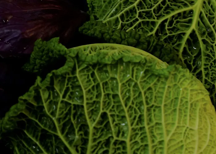 בית חווה Al Marnich